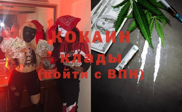 индика Алзамай