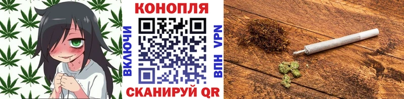 купить наркотик  Ковров  Бошки марихуана гибрид 